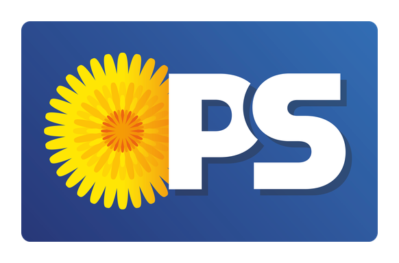 Perussuomalaiset